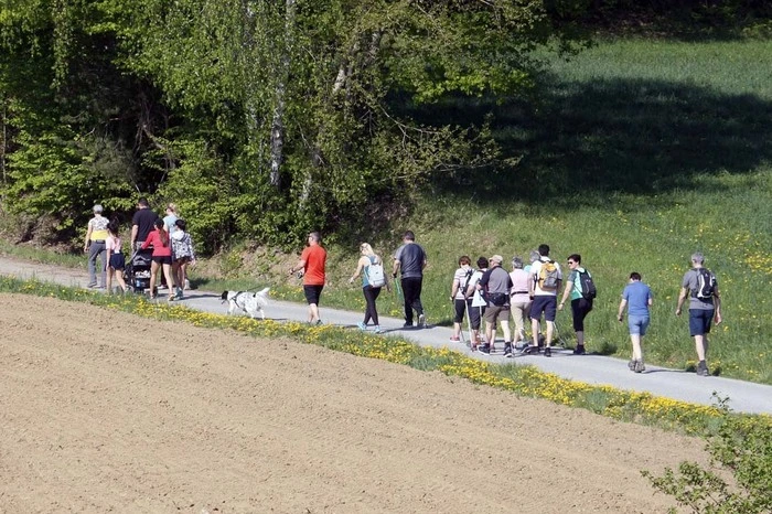 Veranstaltet wurde die Wanderung durchs hügelige Stadtbergen...