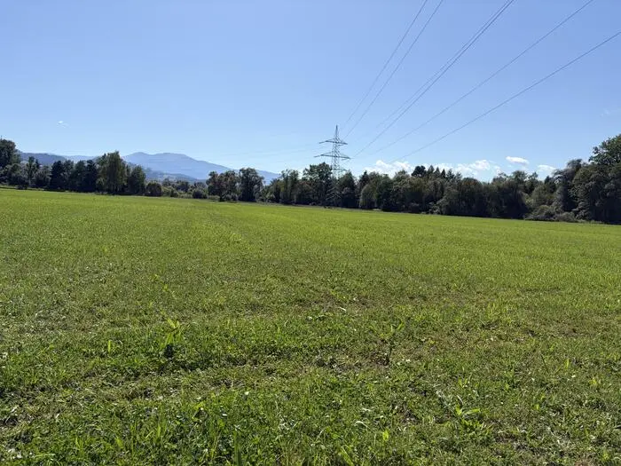 Auf dieser Wiese wird gebaut, im Hintergrund beginnt das Naherholungsgebiet an der Mur