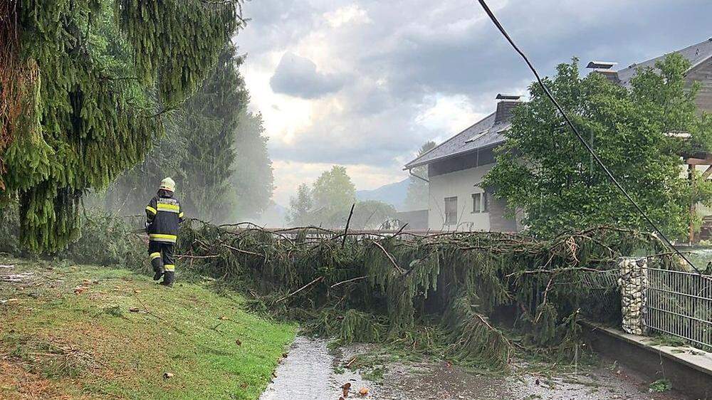 Umgestürzte Bäume hielten die Feuerwehren der Gemeinde Paternion auf Trab