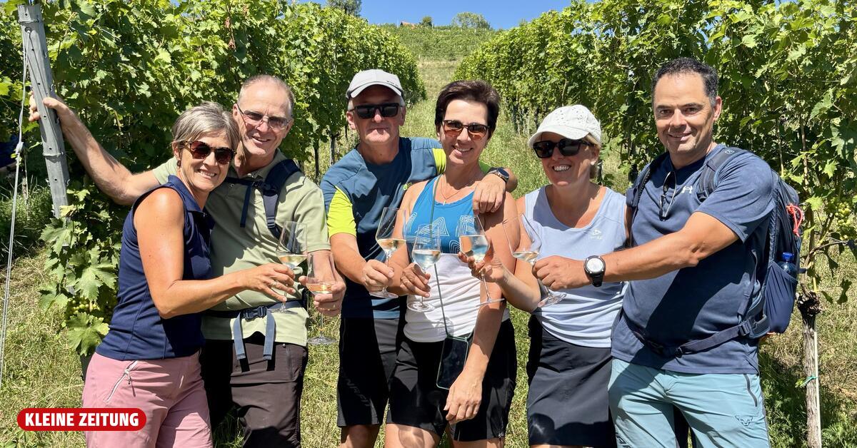 Non-alcoholic wine: Trend or niche at regional wine festivals?