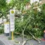 Orkanartige Böen haben am Nachmittag für Aufregung in Berlin gesorgt