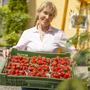 Johanna Weber mit den Erdbeeren. Der Bartlbauer startet ab Anfang Juni in die Saison 