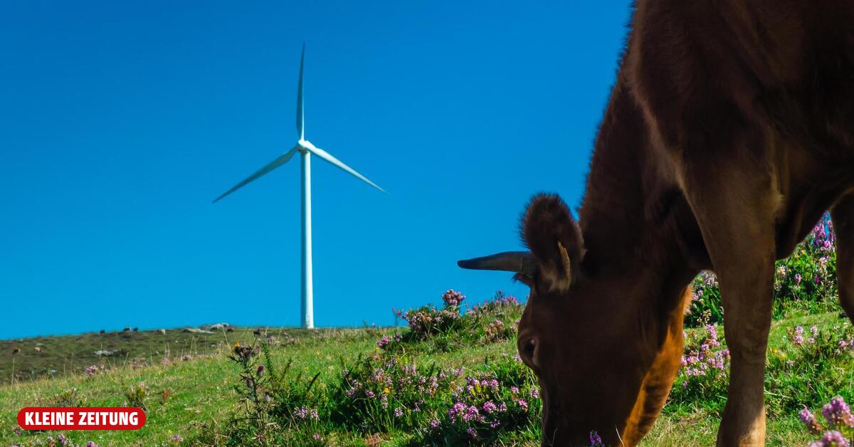 Obdach wind farm: Referendum could bring the decision