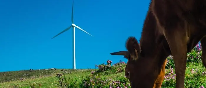 Die Agrargemeinschaft „Bürgerschaft Obdach“ ist als Grundeigentümer für den Windpark. Ob sich auch die Politik dafür ausspricht, ist noch offen und wird wohl über eine Volksbefragung entschieden