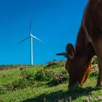 Die Agrargemeinschaft „Bürgerschaft Obdach“ ist als Grundeigentümer für den Windpark. Ob sich auch die Politik dafür ausspricht, ist noch offen und wird wohl über eine Volksbefragung entschieden
