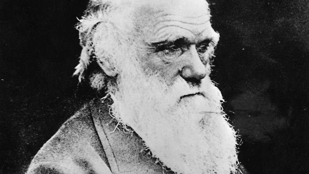 Der Darwin-Award bezieht sich auf Charles Darwin, den Vater der Evolutionstheorie. Er "ehrt diejenigen, die den menschlichen Genpool verbessern, indem sie sich selbst daraus entfernen"