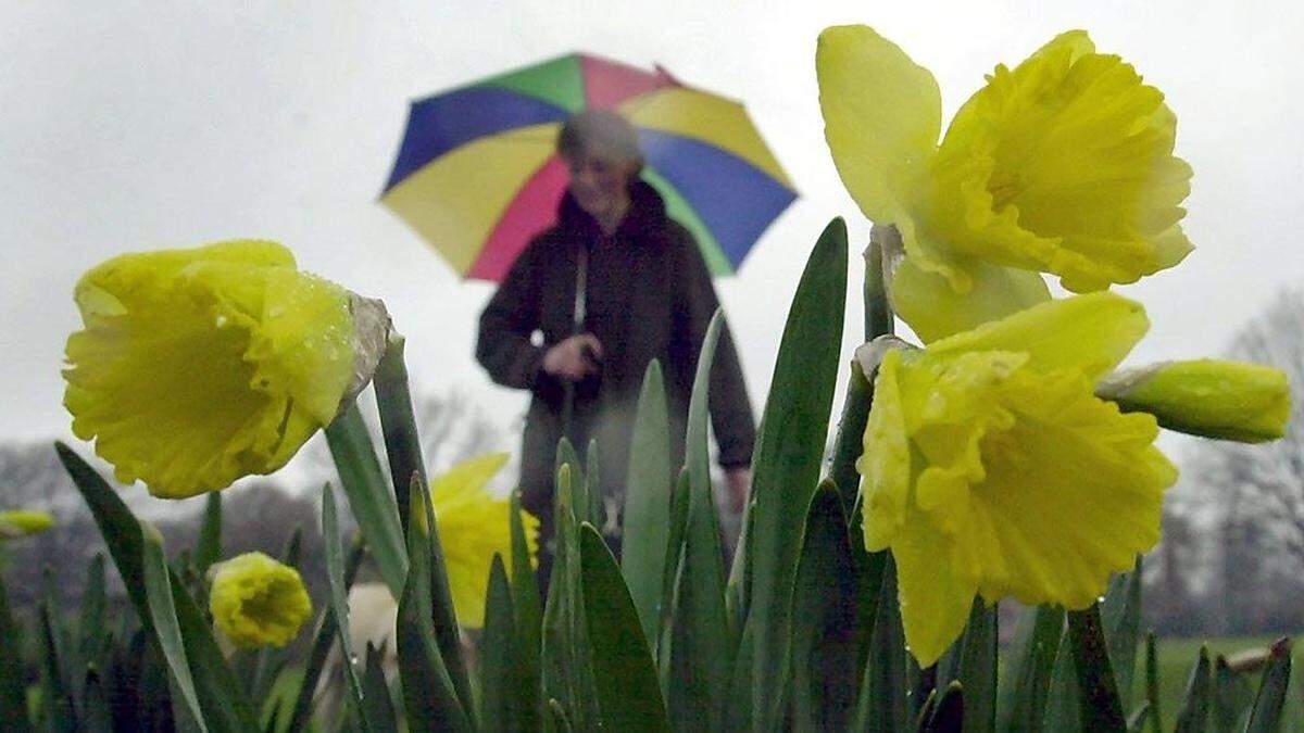 Frühlingsregen breitet sich am Mittwoch über ganz Oberkärnten aus