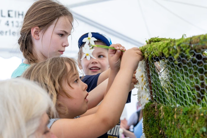 Narzissenfest 2025, Bad Aussee, Stecken der Narzissenfiguren