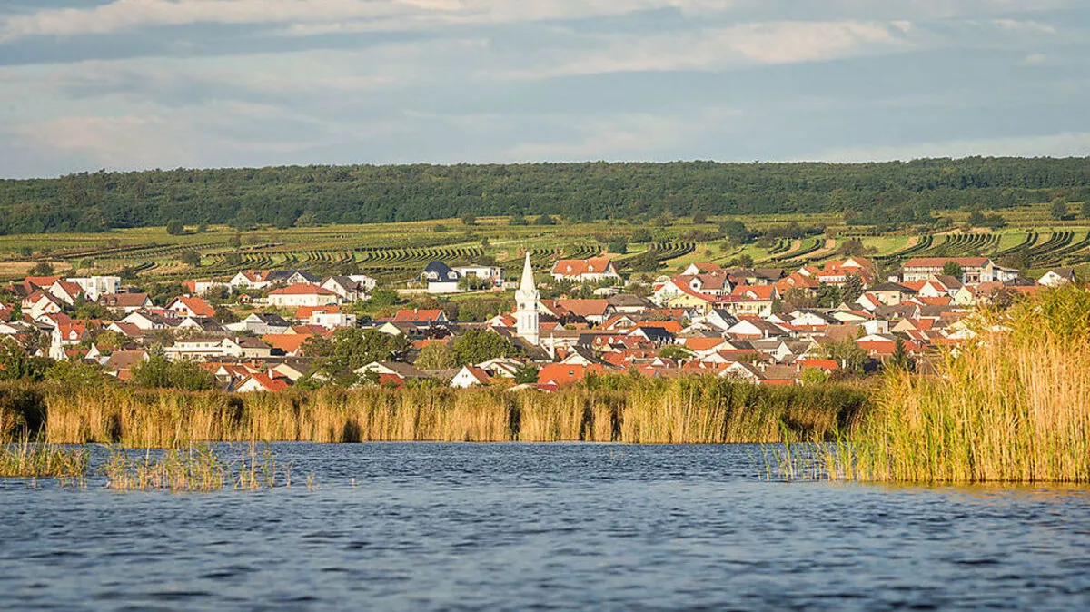 Mörbisch jenseits des Schilfgürtels 