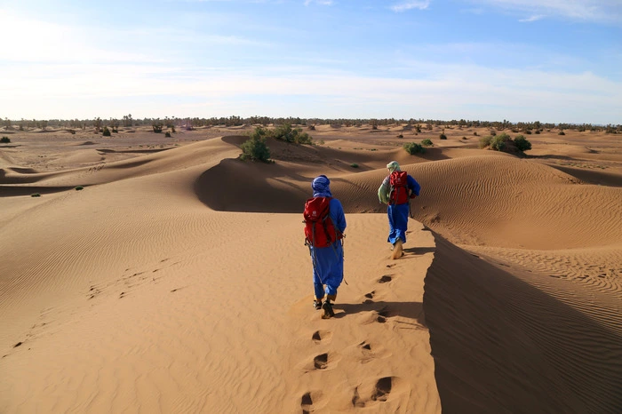 Es ist auch beachtlich, wie sich das Wandern selbst auswirkt. Man stapft von Düne zu Düne, ist in Gespräche vertieft und versinkt dann wieder in die eigene Gedankenwelt.