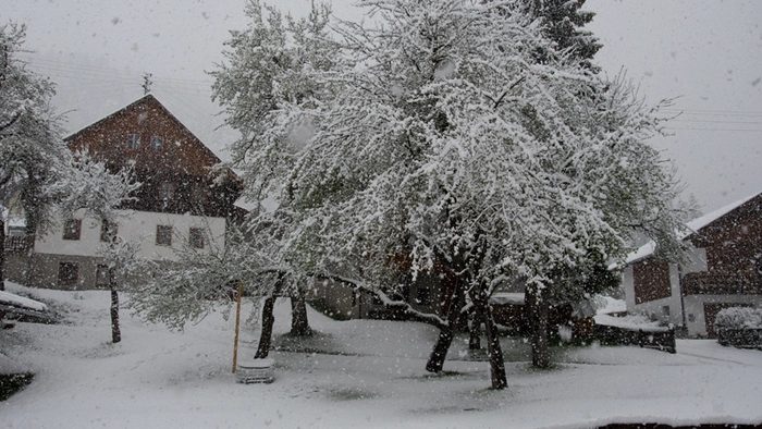 Bis gestern gab es in Kärnten beinahe frühsommerliches Wetter. Heute Sonntag sieht es in weiten Teile Kärntens und Osttirols ganz anders aus.