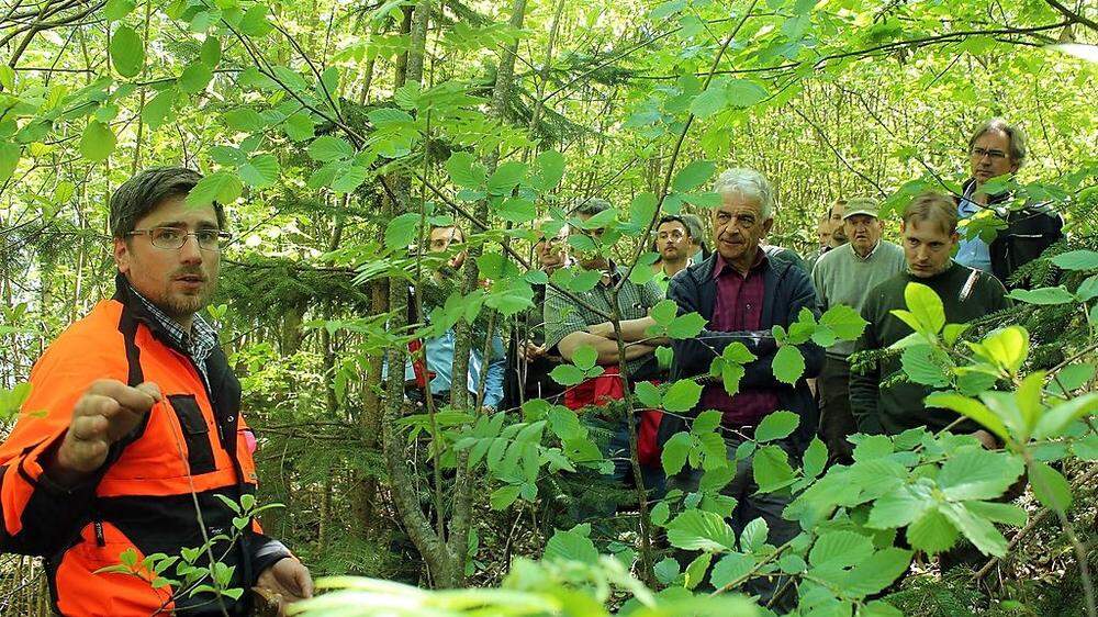 Thomas Kummer vom Waldpflegeverein erklärt bei der Laubwaldexkursion den Eichenjungwaldbestand in Völkermarkt. Interessiert zugehört haben 56 Teilnehmer aus Kärnten und der Steiermark 