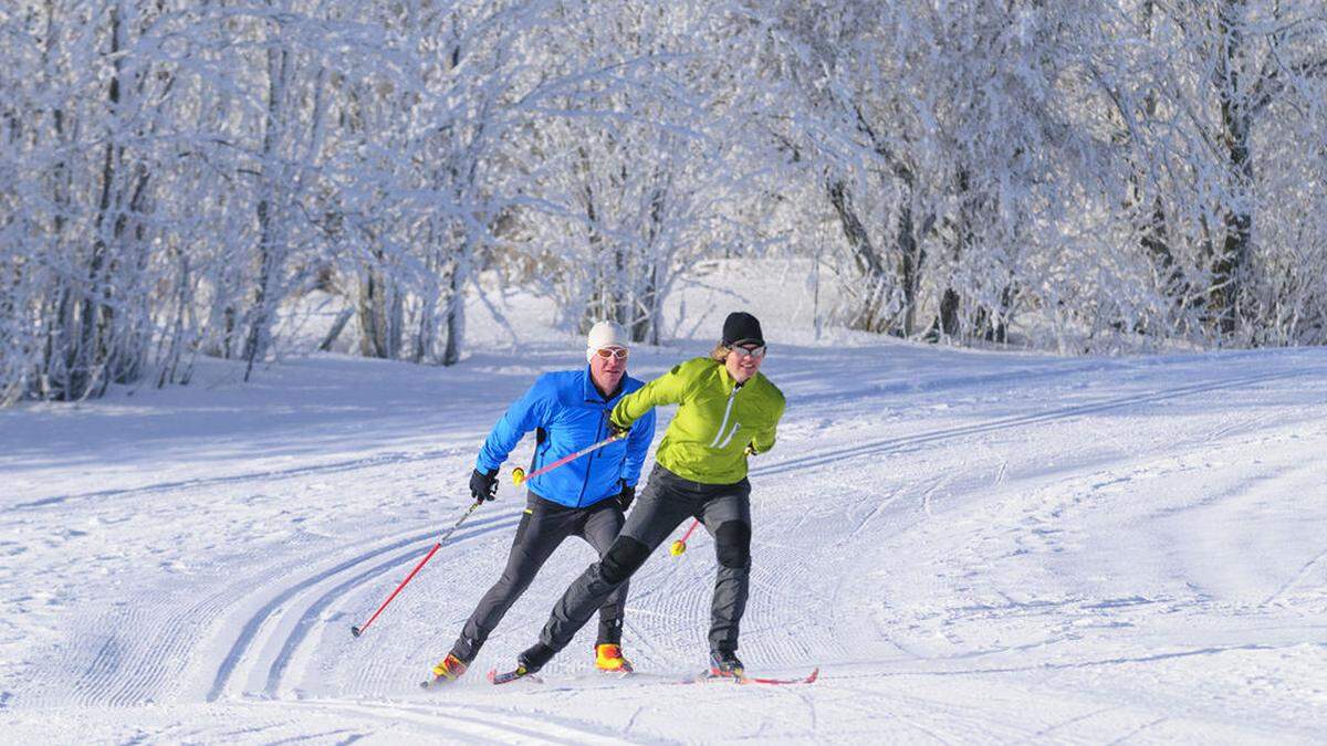 Sieben Loipen stehen heuer rund um die Tiebelstadt zur Verfügung, die längste davon ist sieben Kilometer lang 