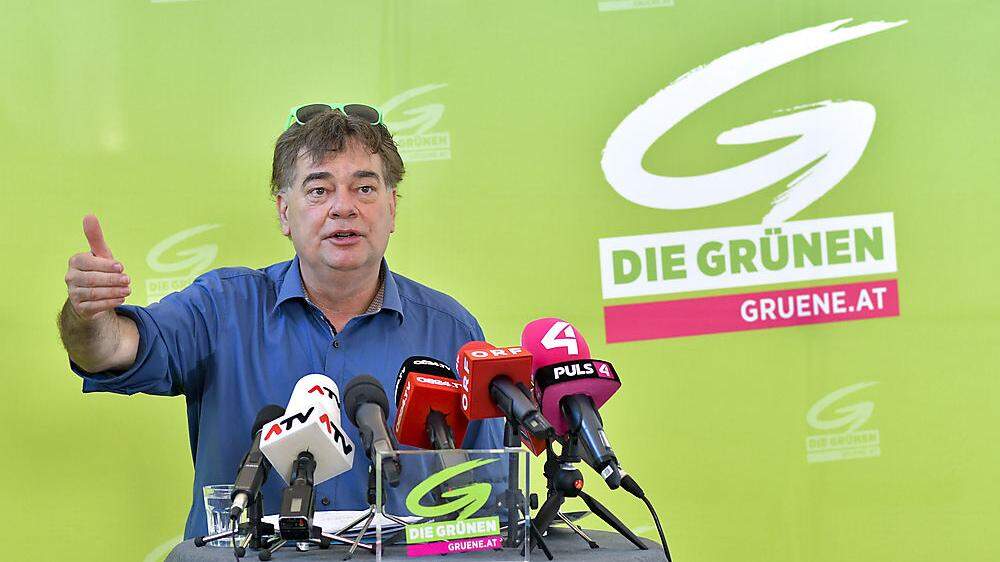 Grünen-Chef Werner Kogler