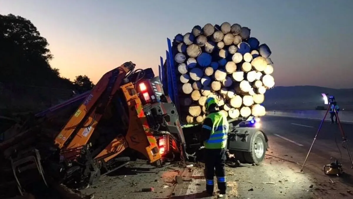 Ein Reisebus und ein Holztransporter waren in den Unfall verwickelt