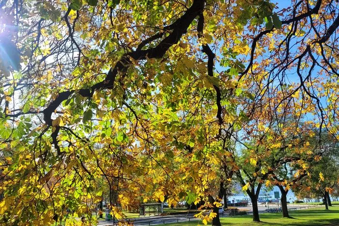 So schön präsentiert sich der Herbst in Klagenfurt.