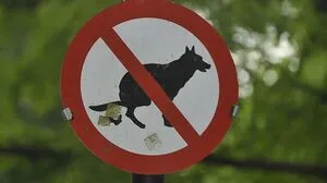 Denn: Wer räumt den Schmutz weg?