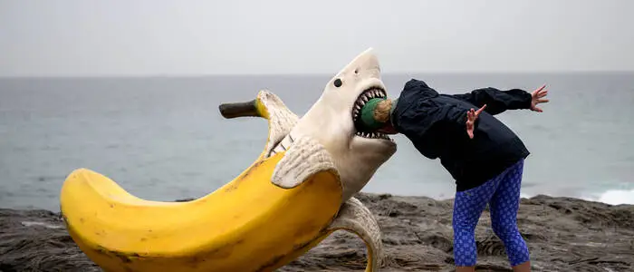 Banane ist nicht immer gleich Banane, das sollte man sich vor Augen halten. Die hier gezeigte ist übrigens von Drew McDonald und heißt „Sharnana“