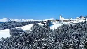 In der Ortschaft Zammelsberg in den Gurktaler Alpen gibt es die meisten Opfer