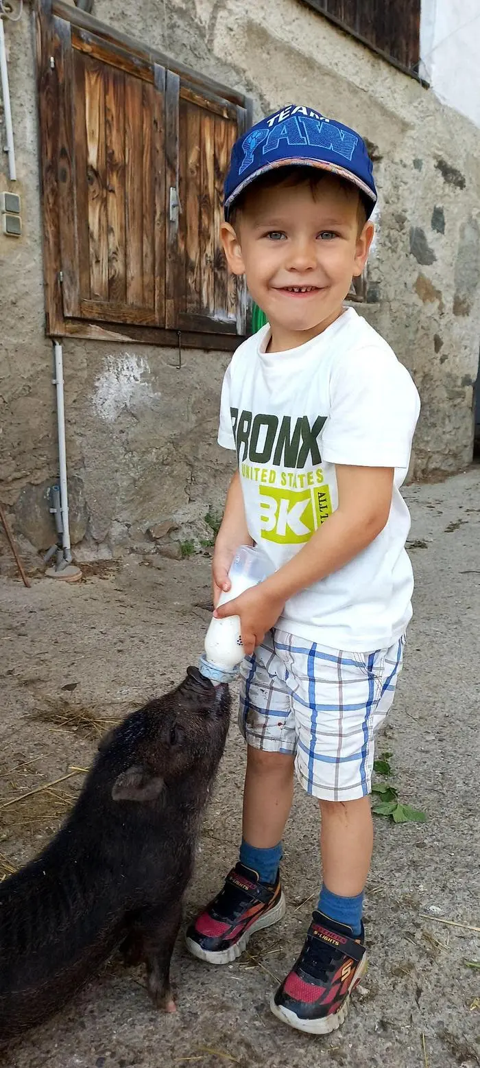 Auf dem Hof leben neben Milch- und Mutterkühen und Schweinen auch viele Kleintiere