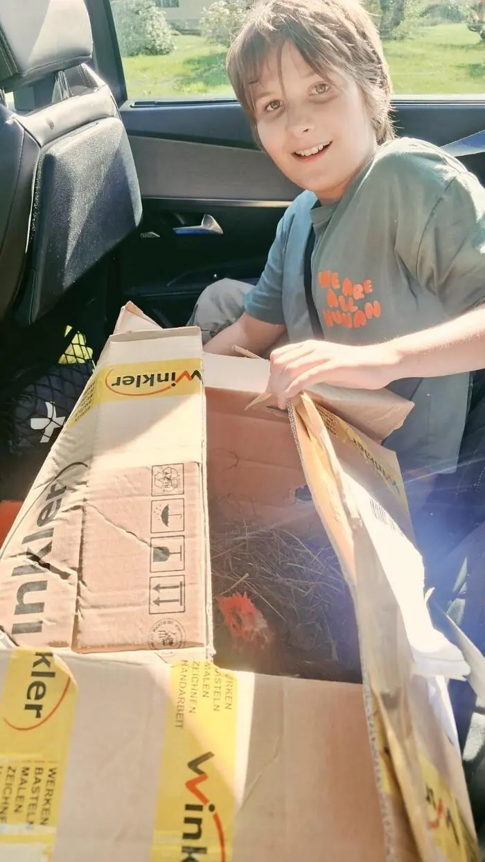 Stolz auf tierischer Mission: Jakob Jungwirth begleitete die Legehennen zu ihren neuen Lebensplätzen im Raum Graz.