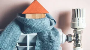 Ökologische Dämmstoffe bestehen aus nachwachsenden Rohstoffen. Zu den gängigsten zählen Zellulose und Holzwolle