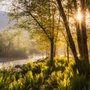 Licht und Natur im Einklang – festgehalten von Ulrike Eisenmann