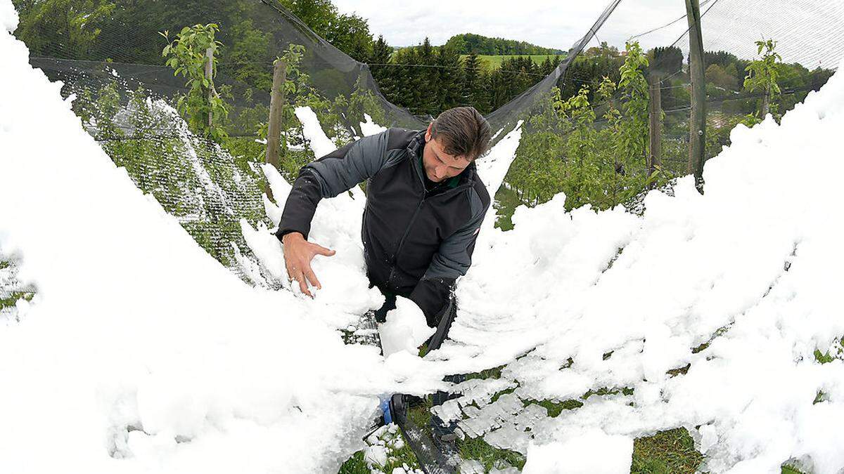 Frost und Schnee machten alles zunichte