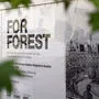 Das For Forest Projekt hat schon zahlreiche Fürsprecher