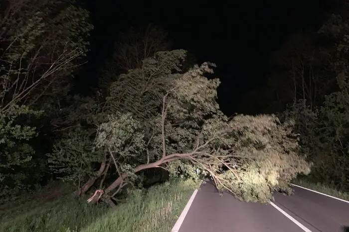 Im benachbarten Burgenland berichtet die FF Großpetersdorf: "Heute morgen wurden wir bereits um 03:52 Uhr aus dem Schlaf geholt, mehrere Bäume blockierten Straßen, Parkbänke lagen auf Verkehrswegen... Außerdem blockierte ein Schornstein welcher durch den Sturm abbrach eine Straße... wir waren rund 1,5 Stunden im Einsatz!"