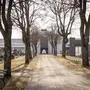 Die Hauptallee am Friedhof Annabichl muss erneuert werden