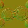 Sich teilende Stammzellen im 3D-Modell