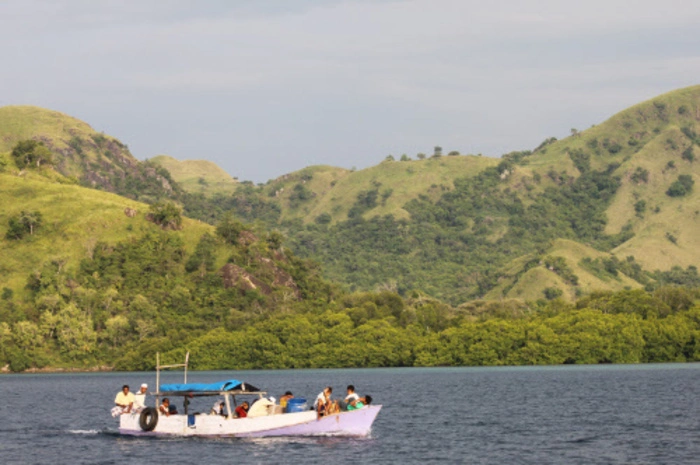 Komodo ist eine der kleinen Sundainseln mit etwa 2000 Einwohnern. Sie gehört zur indonesischen Provinz Ost-Nusa-Tenggara. Bekannt wurde die Insel vor allem durch den Komodowaran, die größte lebende Echsenart. Zusammen mit mehreren kleineren Inseln ist Komodo ein Teil des Nationalparks Komodo.
