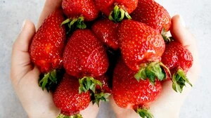 Symbolbild | Symbolbild