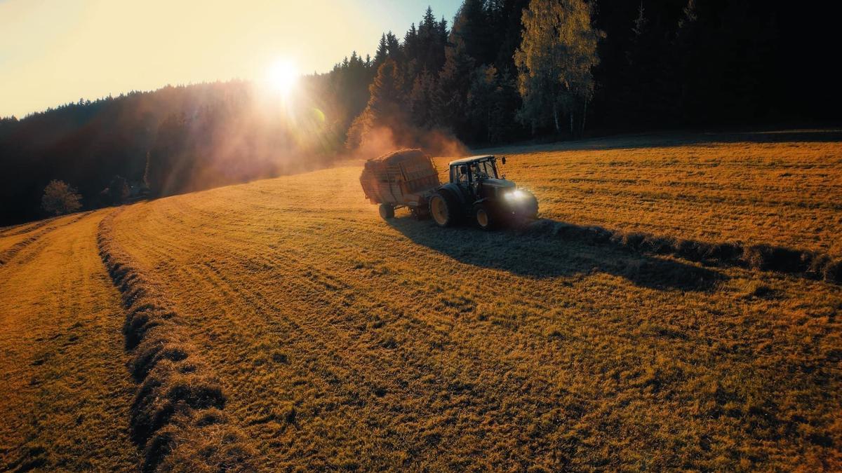 92 Prozent der 18.500 land- und forstwirtschaftlichen Betriebe in Kärnten werden als Familienbetriebe geführt