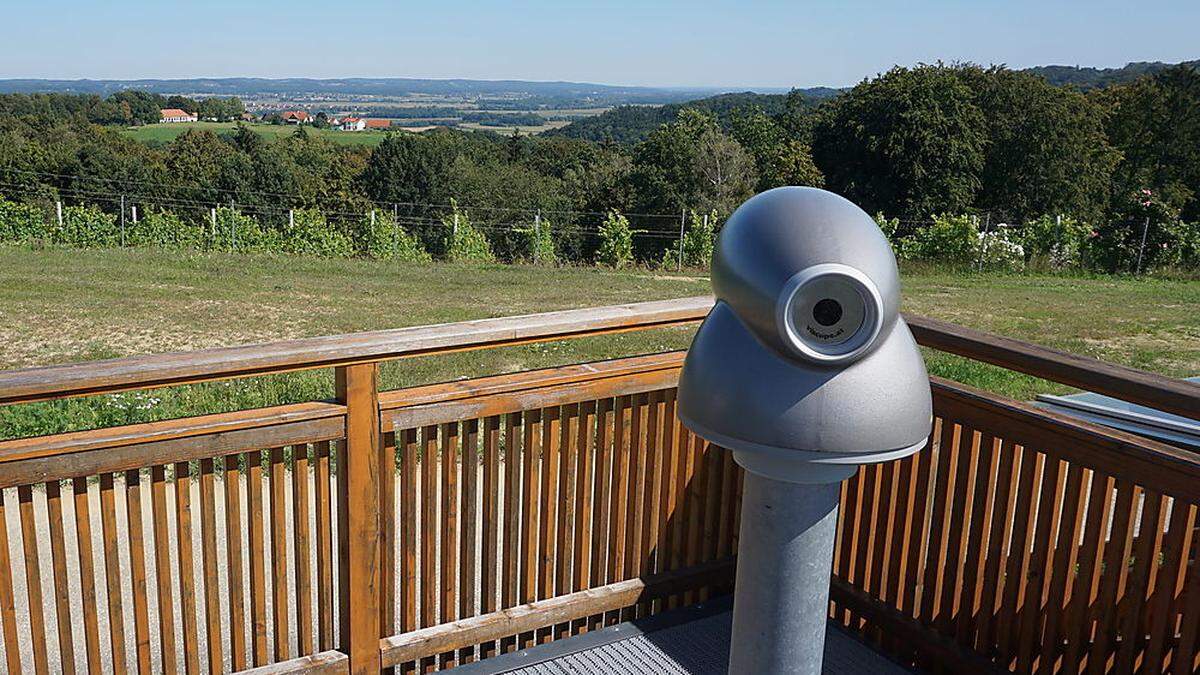 Im Weingarten vor der Aussichtsplattform soll die Vinothek gebaut werden.