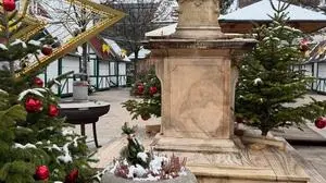 Weihnachtsbäume auf dem Hauptplatz. | Die roten Weihnachtskugeln wurden anonym wieder abgegeben