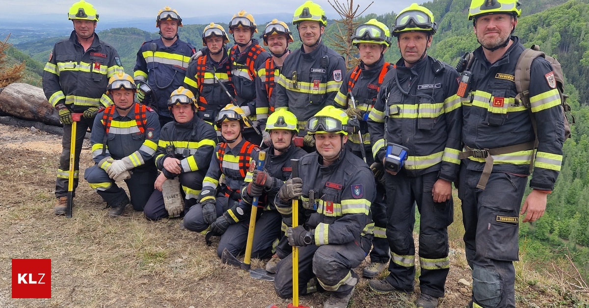 Waldbrand-Ehrenamtliche-Helden-Sie-helfen-beim-Kampf-gegen-die-Glut