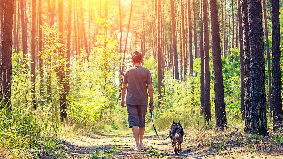 Am Wochenende findet der erste Hundewandertag statt