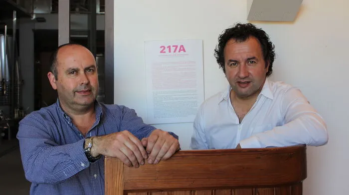 Binigrau, der Newcomer unter Mallorcas Bodegas. Auf keinen Fall verpassen sollten Weinliebhaber einen Besuch bei Binigrau, dem spektakulärsten Newcomer der Insel. Allein die Architektur der Bodega ist ein Besuch Wert: von außen eher unscheinbar, innen viel Glas, Stahl und Sichtbeton. Die lichtdurchflutete Eingangshalle gibt dank Glasboden und -decke die Sicht in die Bodega der drei Weinbauer-Brüder Batle frei. Urkunden und Auszeichnungen hagelt es aus aller Welt. Größter Erfolg bisher: Der US-Wein-Guru Robert Parker bedachte den Nounat 2013 mit sensationellen 95 von 100 Punkten.