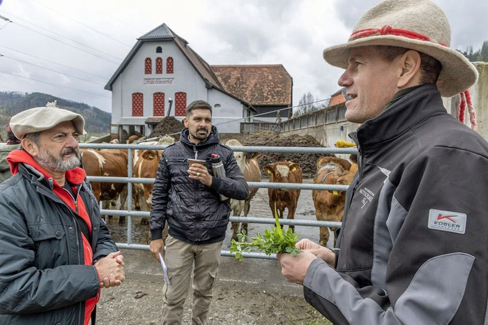 Thomas Lanzer mit Gästen vor dem Rinderstall