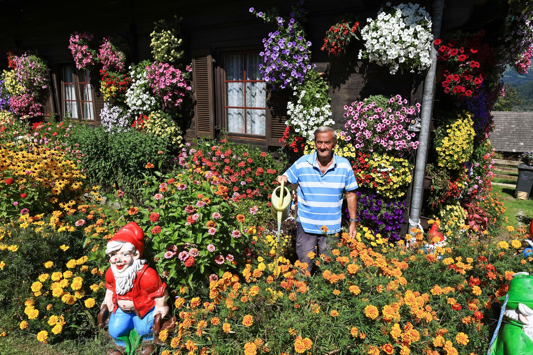 27. Blumenolympiade: Kärntner Hobbygärtner lassen wieder das Land erblühen