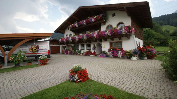 Fünf Floras für Installation Erlbacher, Astrid Erlbacher, Schladming