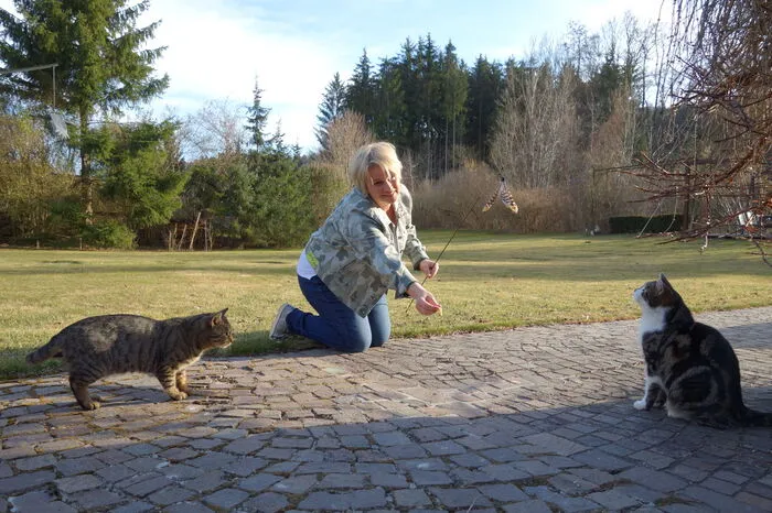 Selbst hat sie 4 Streunerkatzen bei sich aufgenommen