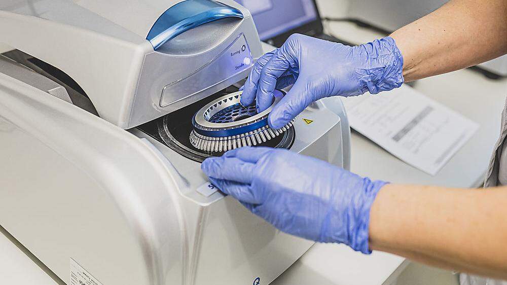 Normalerweise sollte man ein PCR-Testergebnis binnen 24 Stunden erhalten