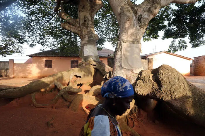 Togoville liegt am nördlichen Ufer des Togosee. Die wichtigste Sehenswürdigkeit ist die 1910 erbaute katholische Kathedrale Notre-Dame du Lac Togo. Dennoch findet man im ganzen Ort Schreine oder Symbole des Voodoo.