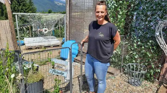 Hier geht es zu den Unterkünften der Hunde