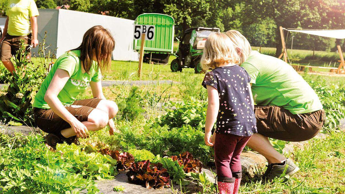 Vorläufer der „AckerBox“ ist der virtuelle Garten „myacker“ in Mühldorf 