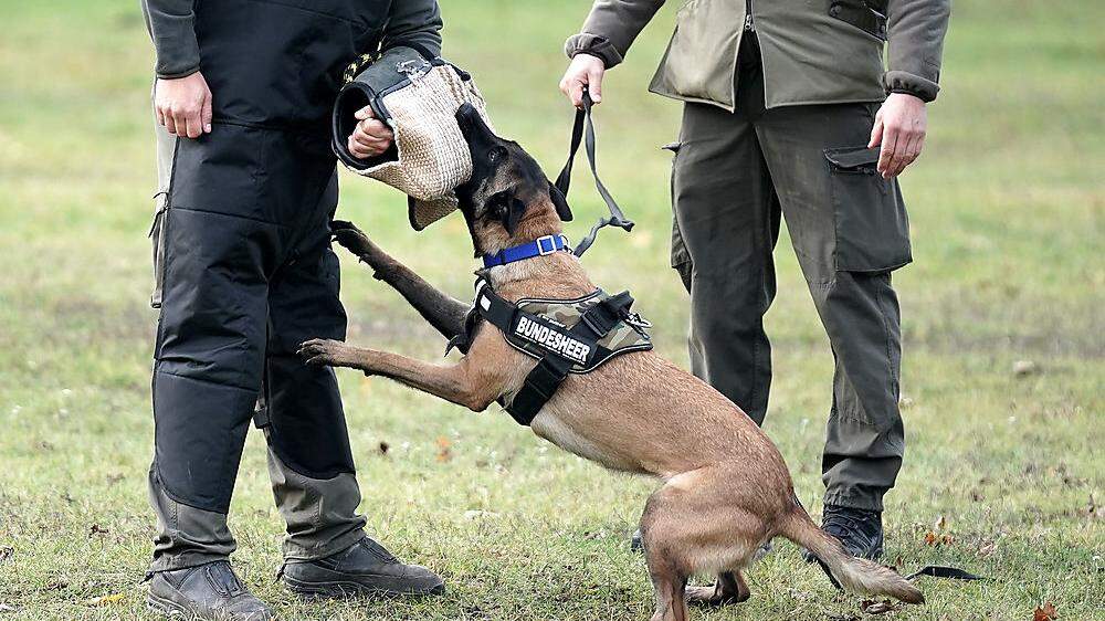 Sujetbild Ausbildung Bundesheerhund