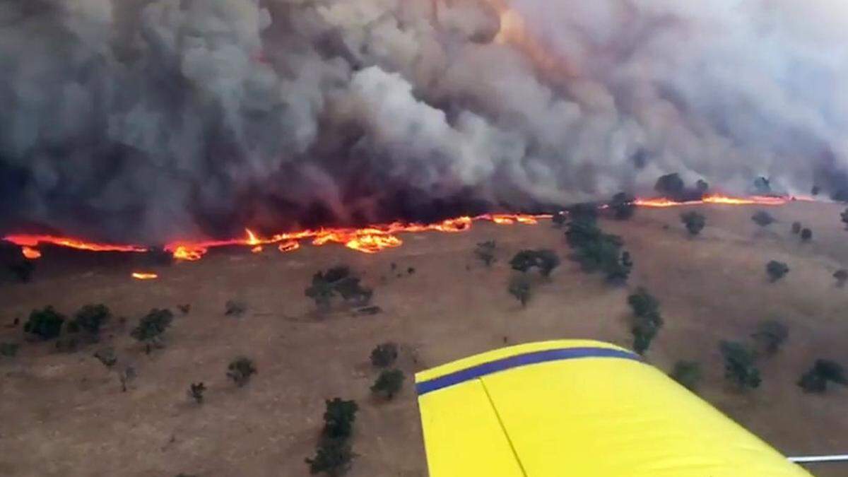 Buschbrände in Australien geraten außer Kontrolle